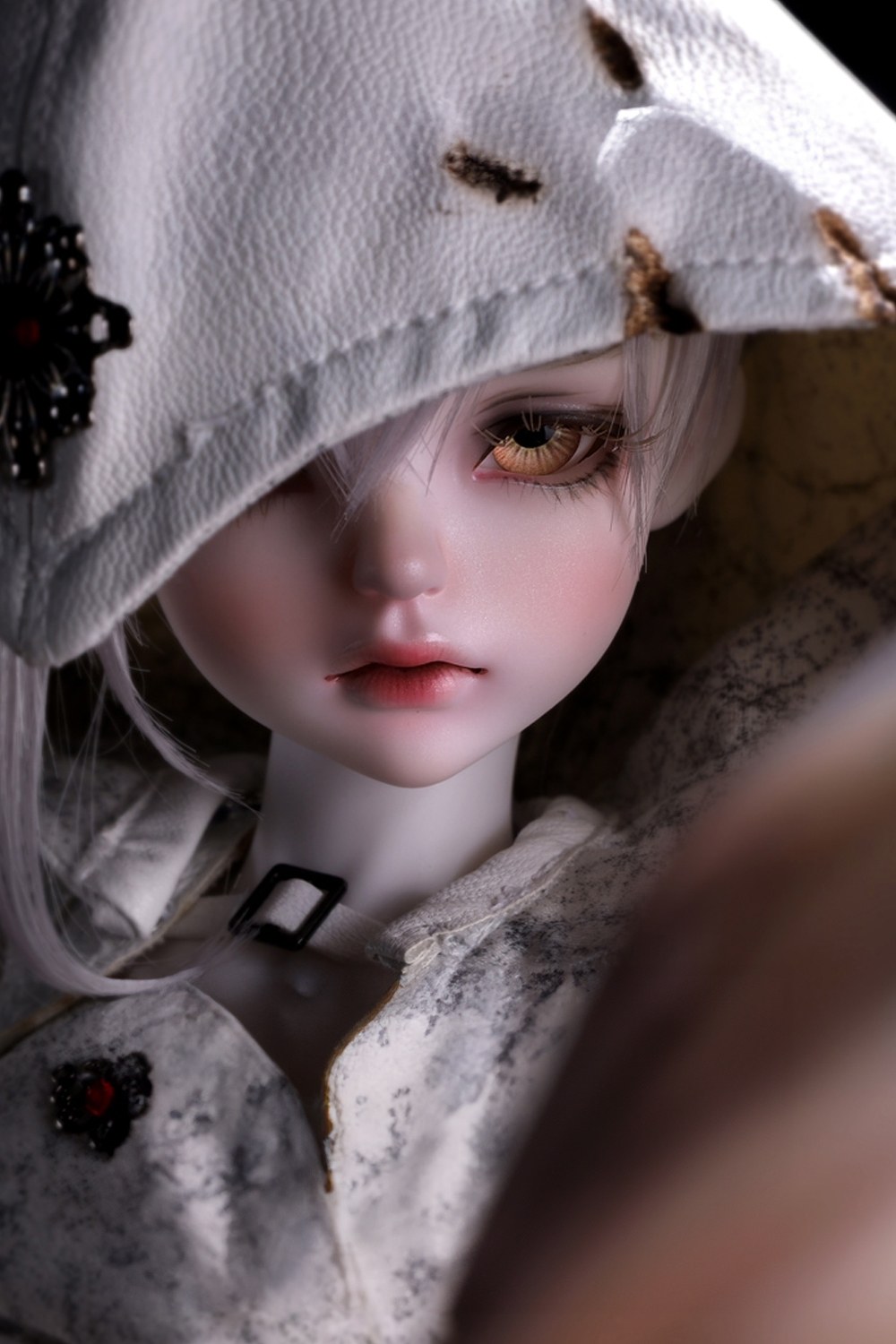 Dorothy – Eroded Arrow