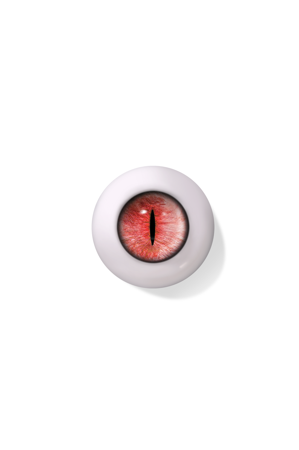 Cat – Velvet Red (CT02)