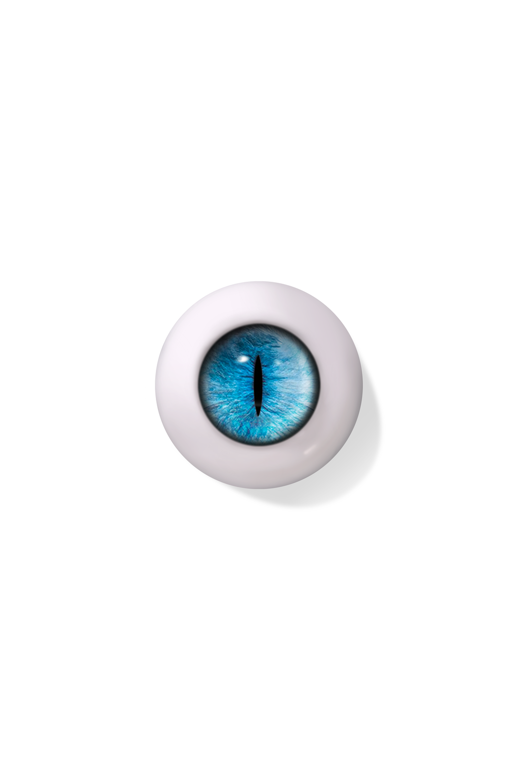 Cat - Velvet Blue (CT05)